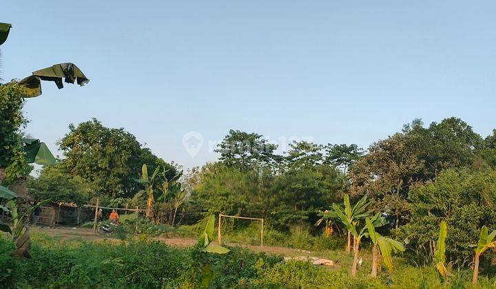 Jual Murah Tanah Kebun Dekat Wisata Situ Cisaat Campaka Purwakarta 11