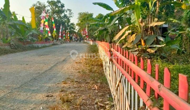 Jual Murah Tanah Kebun Dekat Wisata Situ Cisaat Campaka Purwakarta 12