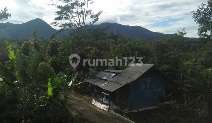 Rumah dan Kebun Pemandangan Bagus di Udara Dingin Purwakarta 6