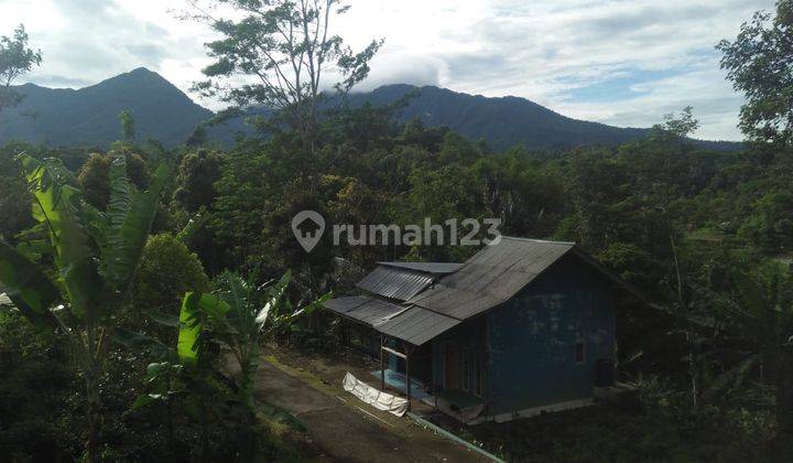 Rumah dan Kebun Pemandangan Bagus di Udara Dingin Purwakarta 9