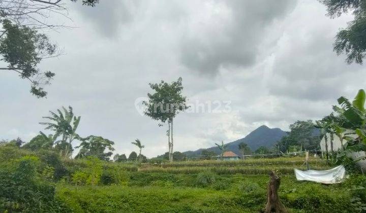 Jual Tanah Darat dan Sawah Ada Air Mengalir Pemandangan Bagus di Subang Tanah 1