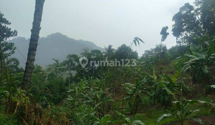 Jual Murah Tanah Kebun Pinggir Jalan di Cijambe Subang 4