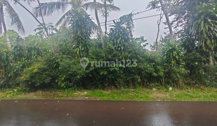 Jual Murah Tanah Kebun Pinggir Jalan di Cijambe Subang 6