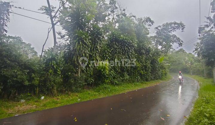 Jual Murah Tanah Kebun Pinggir Jalan di Cijambe Subang 7