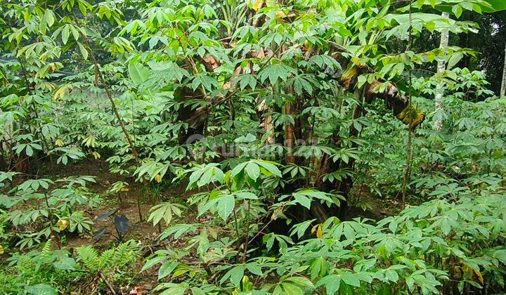 JUAL RUMAH PINGGIR JALAN HALAMAN BELAKANG LUAS DI DAERAH DINGIN PURWAKARTA 6
