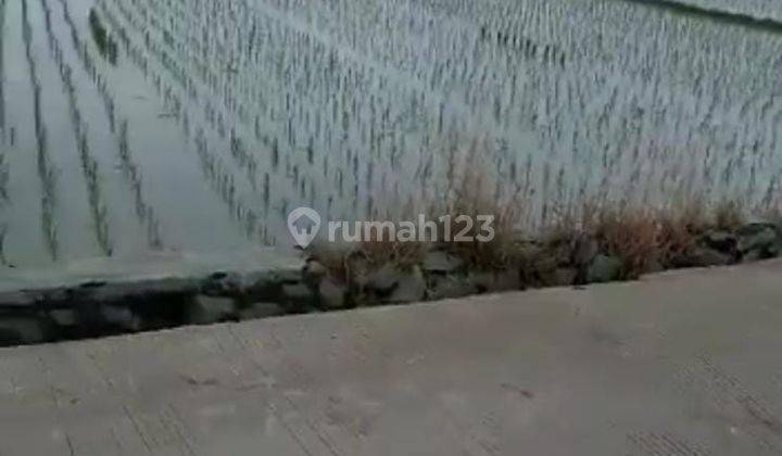 Jual Tanah Daerah Telukjambe Timur Akses Tol Karawang Barat 4