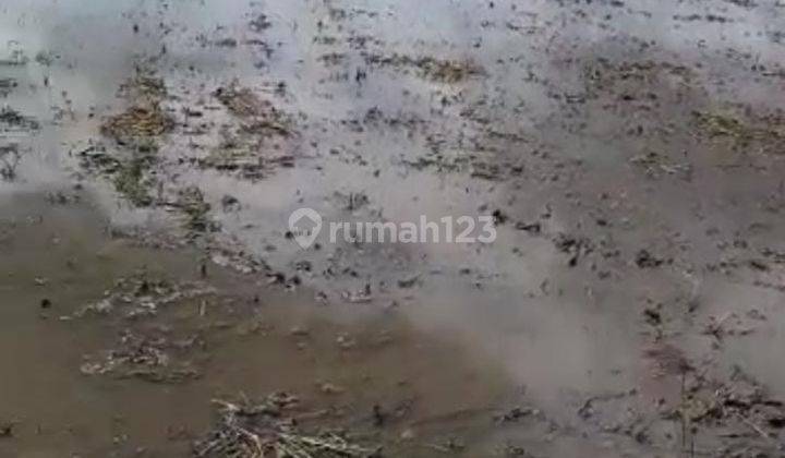 Jual Tanah Daerah Telukjambe Timur Akses Tol Karawang Barat 2