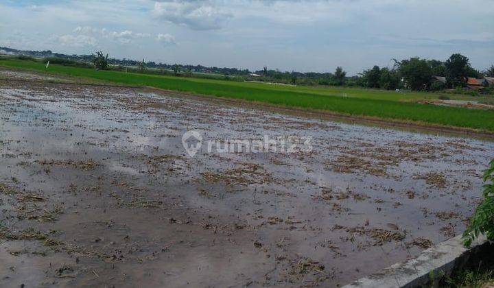 Jual Tanah Daerah Telukjambe Timur Akses Tol Karawang Barat 7