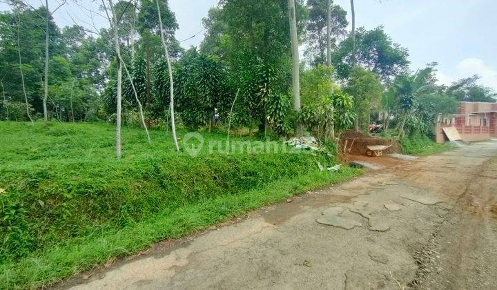 Tanah Kebun Sengon Albasiah Dekat Darana Umum Alun Alun Bojong Purwakarta 1