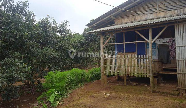 Tanah Datar Kebun Alpukat + Bangunan Rumah Bambu dan Kandang Ternak Kambing di Purwakarta SHM 1