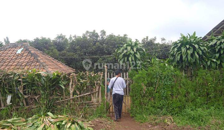 Tanah Datar Kebun Alpukat + Bangunan Rumah Bambu dan Kandang Ternak Kambing di Purwakarta SHM 9