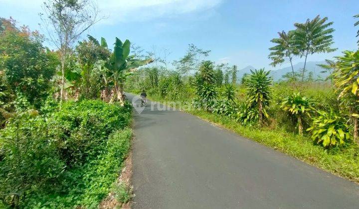 Jual Tanah Kebun Teh Pinggir Jalan Udara Dingin Bojong Purwakarta 1