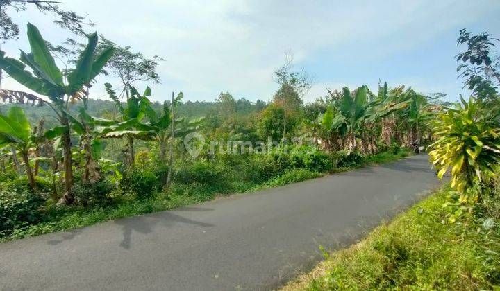 Jual Tanah Kebun Teh Pinggir Jalan Udara Dingin Bojong Purwakarta 2