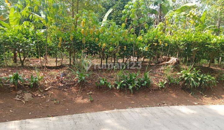 Dijual Murah Tanah Kebun Pinggir Jalan Mobil Udara Dingin Bojong Purwakarta 1