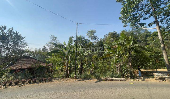 Jual Murah Tanah Pinggir Jalan Pedesaan Udara Dingin Purwakarta 1