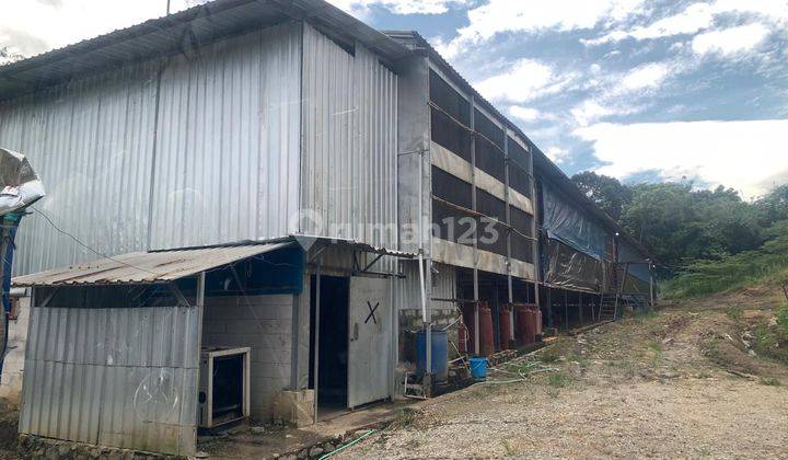 Jual Tanah 1,7 Ha + Kandang Peternakan Ayam di Tegalwaru Karawang 2