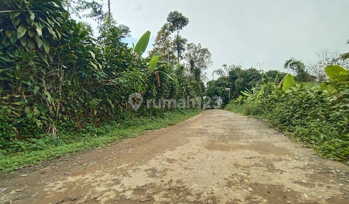 Dijual Tanah Kebun Pinggir Jalan di Bojong Purwakarta Dekat Lapangan Bola 1