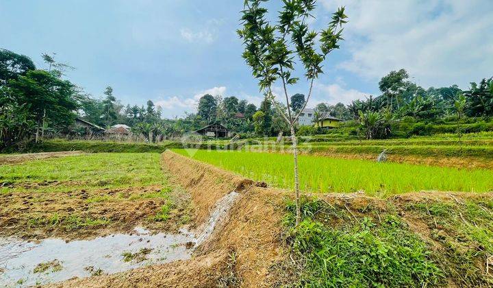 Jual Murah Tanah Darat Dan Sawah Ada Mata Air di Bojong Purwakarta 2