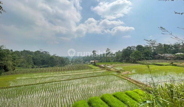 Jual Murah Tanah Darat Dan Sawah Ada Mata Air di Bojong Purwakarta 1