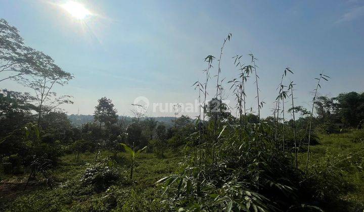 Tanah Kebun Manggis Bisa Beli Sebagian di Purwakarta Dijual Murah 1