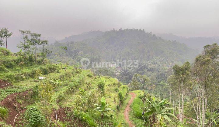 Jual Murah Tanah Kebun Durian + Bangunan di Cikalong Bandung Barat 1