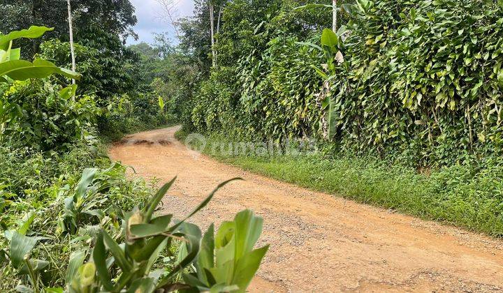 Tanah Kebun Pinggir Jalan Kampung Di Bojong Purwakarta Dijual Murah 1