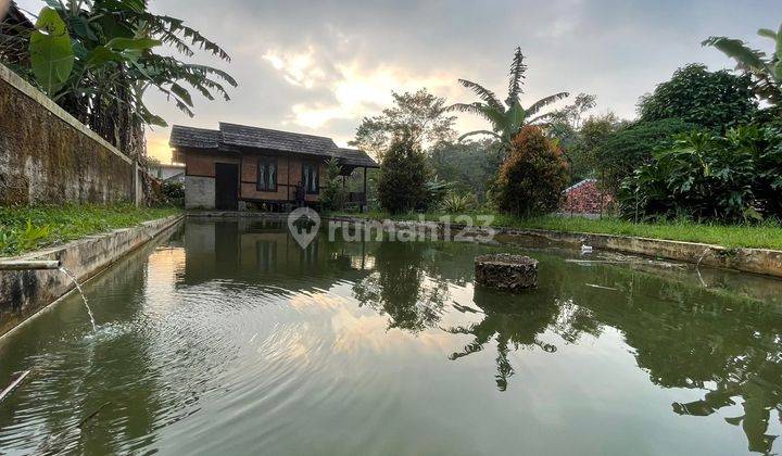 Jual Murah Villa + Kolam Ikan Akses Bisa Masuk Mobil di Purwakarta 1