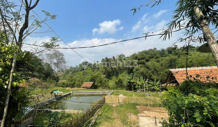 Tanah Kebun + Kandang Peternakan Pinggir Sungai Darangdan Purwakarta 1