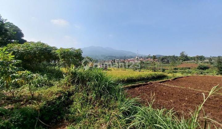 Tanah View Bagus Pinggir Jalan Dekat Gerbang Tol Tanjungsari Sumedang 1