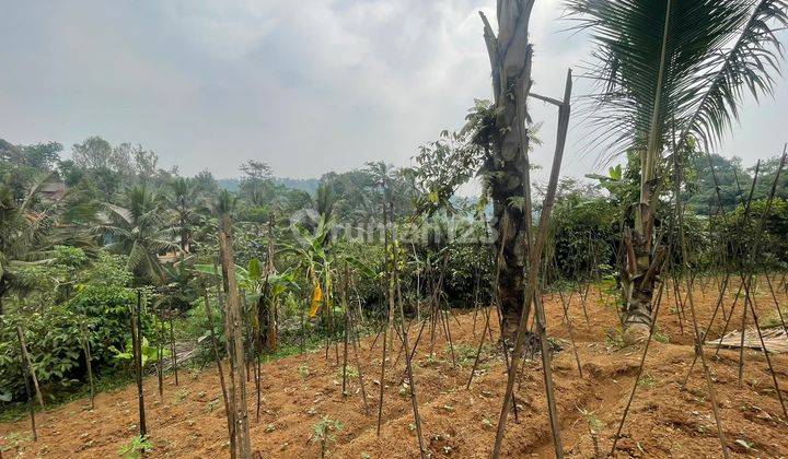 Dijual Tanah Ladang Jalan Kampung Akses Mobil Bojong Purwakarta 2