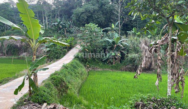 Jual Tanah sawah dan darat Akses Mobil di Bojong Purwakarta 2