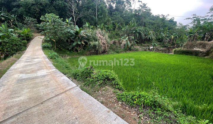 Jual Tanah sawah dan darat Akses Mobil di Bojong Purwakarta 1