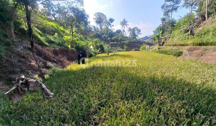 Dijual Murah Tanah Akses Mobil di Dataran Tinggi Sumedang Selatan 350 m2 1