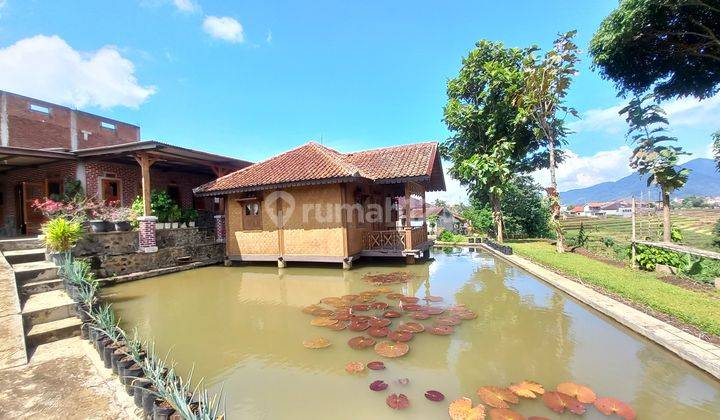 Dijual Murah Rumah Villa Kolam Ikan 2281 M2 di Tanjungsari Sumedang 1