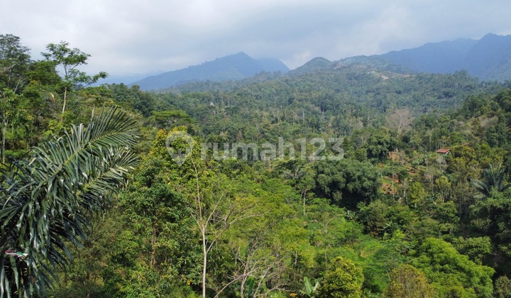 Dijual Murah Tanah Kebun Dataran Tinggi di Pedesaan Bojong Purwakarta