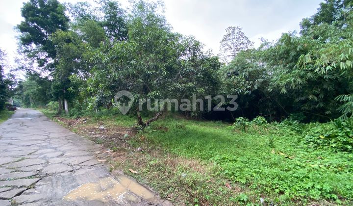 Dijual Tanah Kebun dan Sawah 1 Hektar di Tegalwaru Karawang Dijual Tanah Kebun dan Sawah 1 Hektar di Tegalwaru Karawang