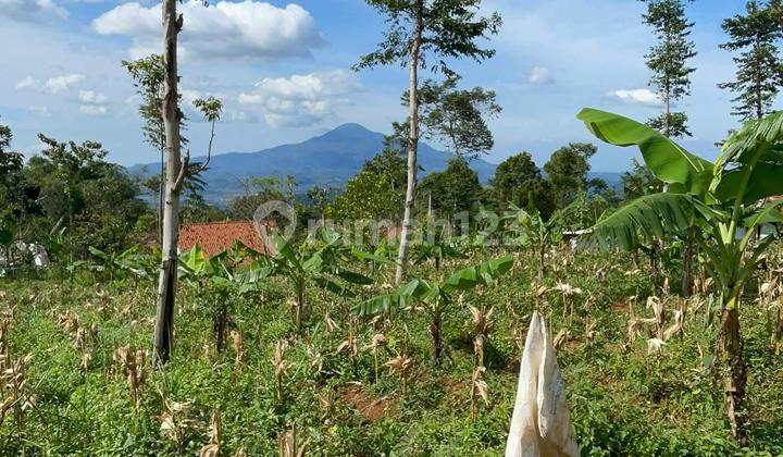 Dijual Tanah Dataran Tinggi Udara Dingin Sumedang Selatan