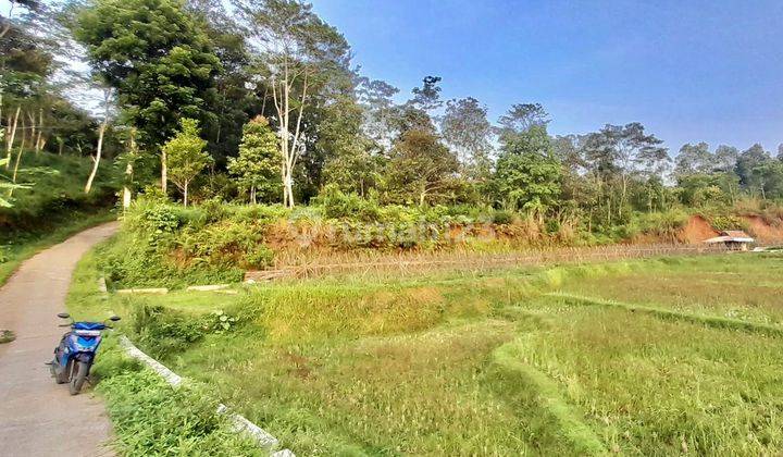 Dijual Murah Tanah Sawah Pinggir Jalan Mobil 3402 M2 Bojong Purwakarta 1