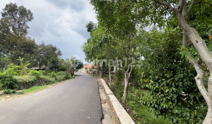 Jual Tanah Kebun Manggis Ada Air Mengalir di Wanayasa Purwakarta Jual Tanah Kebun Manggis Ada Air Mengalir di Wanayasa Purwakarta