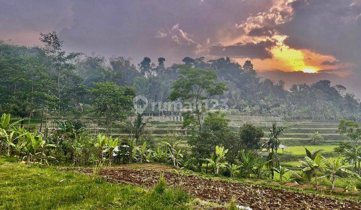 Tanah Ladang Pinggir Sungai View Bagus Daerah Dingin Bojong Purwakarta 1