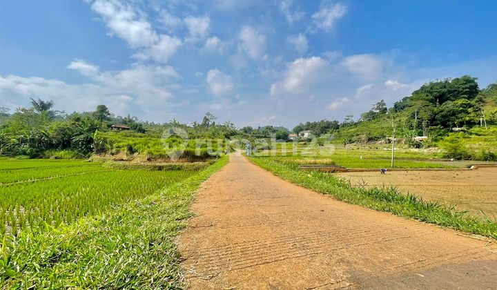 Jual Tanah Sawah 1675 m2 Dekat Gerbang Tol Darangdan Purwakarta