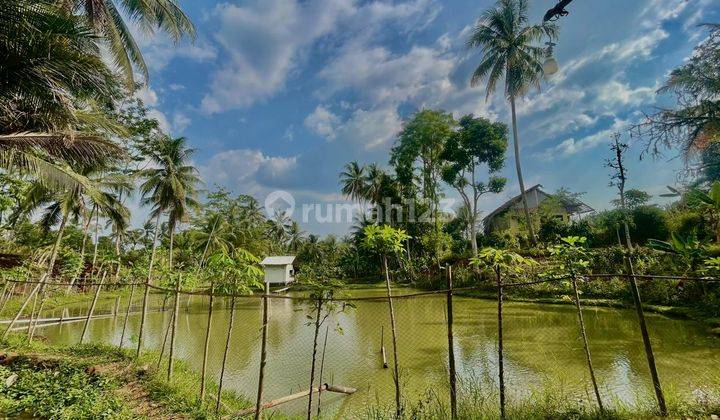 Jual Murah Tanah Ada Kolam Ikan Dan Bangunan di Dekat Wisata Cirata Bandung Barat 1