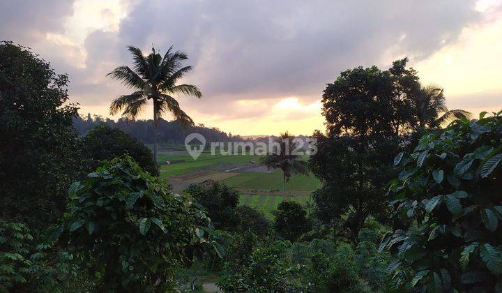 Dijual Murah Tanah Kebun Manggis Bisa Beli Sebagian di Purwakarta 2