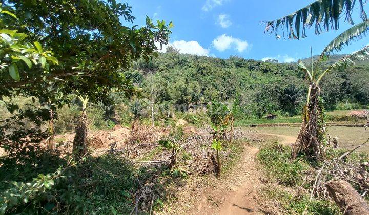 Jual Murah Tanah Datar 4574 M2 Cocok Untuk Kebun di Cisitu Sumedang 2