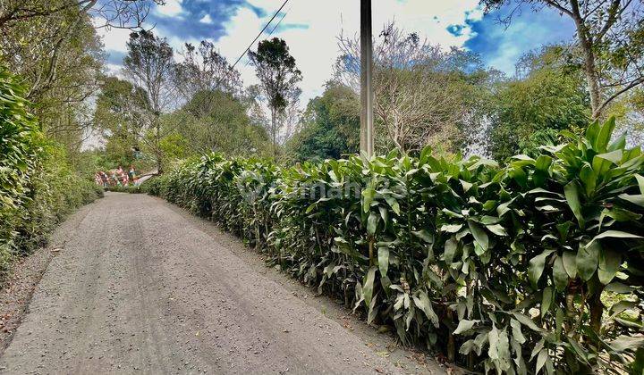 Dijual Tanah Kebun Teh Dan Cengkeh Pinggir Jalan di Bojong Purwakarta  1