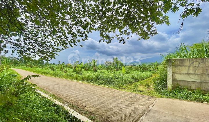 Tanah Datar Dataran Tinggi 1,9 Ha Dijual Murah di Darangdan Purwakarta Tanah Datar Dataran Tinggi 1,9 Ha Dijual Murah di Darangdan Purwakarta