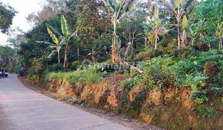 Dijual Murah Tanah Kebun Manggis Bisa Beli Sebagian di Purwakarta 1