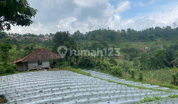 Tanah Kebun 1,4 ha di Perkampungan Nempel Sungai Bojong Purwakarta