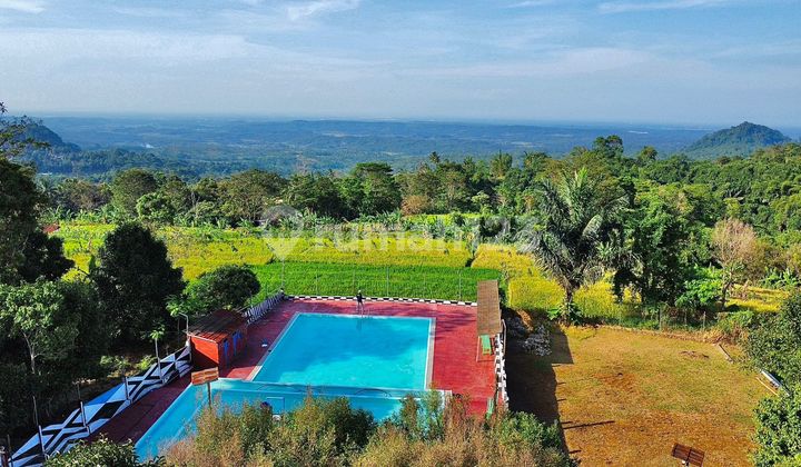 Tanah Kebun Gaharu & Cengkeh + Sawah + Villa + Kolam Ikan di Purwakarta Tanah Kebun Gaharu & Cengkeh + Sawah + Villa + Kolam Ikan di Purwakarta