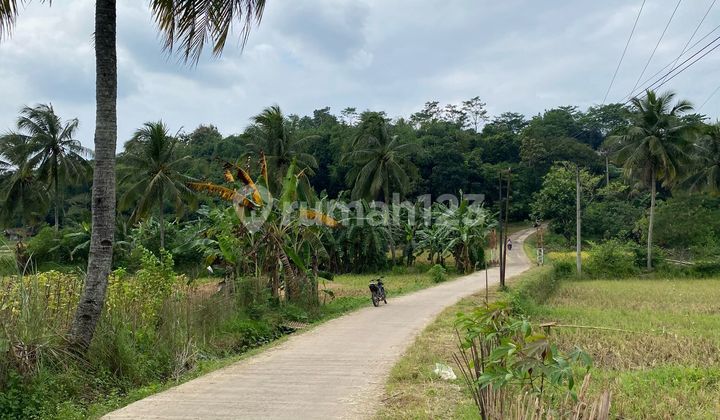 Jual Tanah Sawah Pinggir Jalan di Pasawahan Dekat Kota Purwakarta Jual Tanah Sawah Pinggir Jalan di Pasawahan Dekat Kota Purwakarta